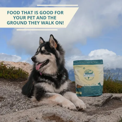 Vista 6 de Steve's Real Food Dieta de alimentos crudos liofilizados para perros y gatos, receta de pescado blanco, 1.25 libras en cada bolsa, fabricada