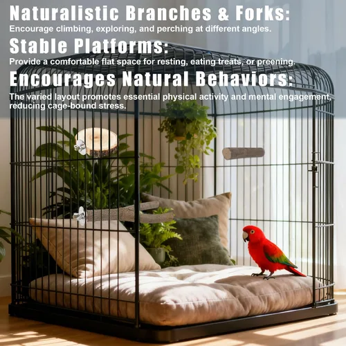Vista 4 de Juego de 6 perchas para pájaros, perchas rectas y bifurcadas de madera de abedul natural con plataformas para periquitos, cacatúas, conures