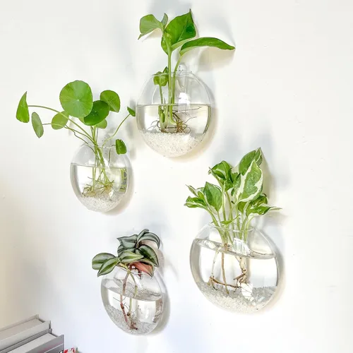 Vista 3 de Kingbuy Estación de Propagación de Plantas Colgante de Vidrio para Pared - Paquete de 2 Jarrones de Globo Oblato Montados en la Pared para Plantas