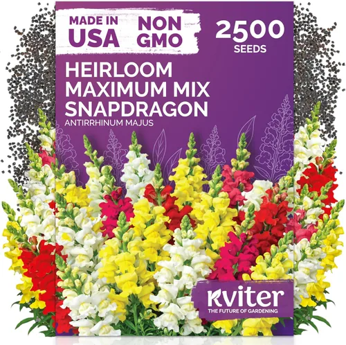 Vista 34 de KVITER 15,000 semillas de rosa musgo mixta para plantar (Portulaca grandiflora) – Cubierta de suelo con floración de reliquia, semilla de Portulaca