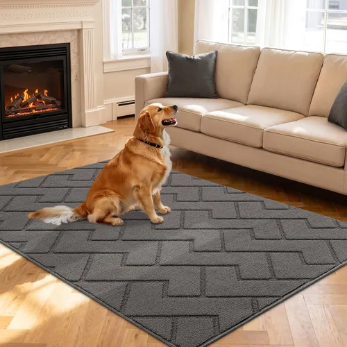 Vista 85 de hicorfe Tapete para puerta delantera para entrada exterior, 20 x 31.5 pulgadas, absorbente, resistente a la suciedad, tapetes de bienvenida