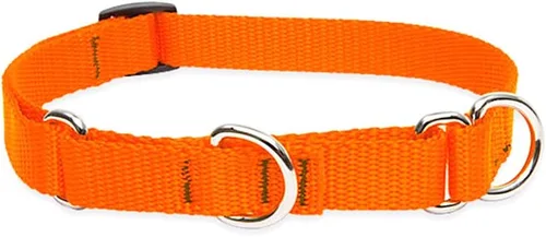 Vista 3 de LupinePet Basics - Collar martingala verde de 3/4 pulgadas, 14-20 pulgadas, para perros medianos y grandes