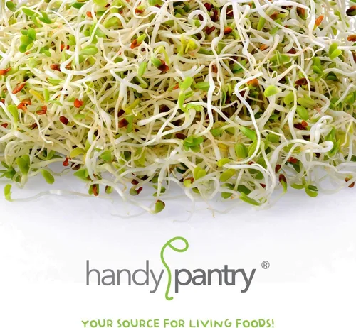 Vista 5 de Handy Pantry Organic Sbrouting Seed Mix – 2.5 lb – 10 variedades: Alfalfa Frijol mung, brócoli, lentejas, trébol, trigo sarraceno, rábano