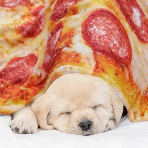 Vista 3 de QiyI Manta de pizza para adultos y niños, 2.0 manta gigante de comida de doble cara, divertidos regalos de pizza, mantas redondas de tacos novedosos