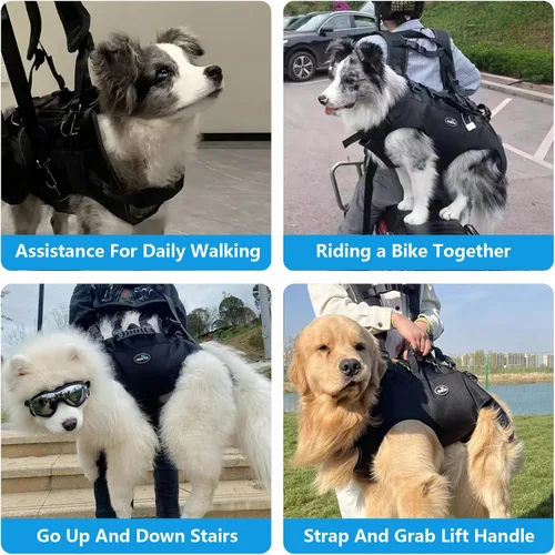 Vista 4 de Arnés de elevación para perros, soporte y rehabilitación con cabestrillo ajustable acolchado y transpirable Arnés de elevación para perros