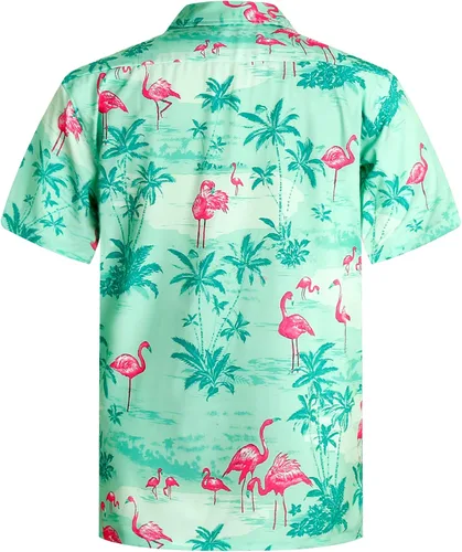 Vista 2 de APTRO Men's Casual Hawaiian Shirt Short Sleeve Quick Dry Cruise Beach Shirts