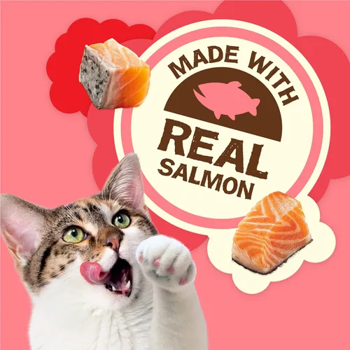 Vista 2 de Purina Friskies Golosinas Naturales para Gatos, Party Mix Natural Yums con Salmón Real y Vitaminas, Minerales y Nutrientes - (Paquete de 10) Bolsas