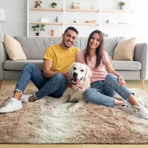 Vista 2 de Noahas Alfombras de Área Grandes y Esponjosas de 5x8 pies para Sala de Estar y Dormitorio, Alfombra Gruesa de Pelo Largo Beige y Blanca, Alfombra