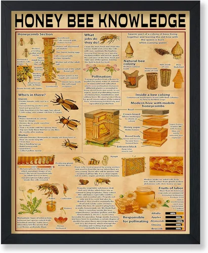 Vista 21 de Poster Master Póster de conocimiento de preparación de café, impresión de preparación de café, ilustración de alimentos y bebidas, impresión