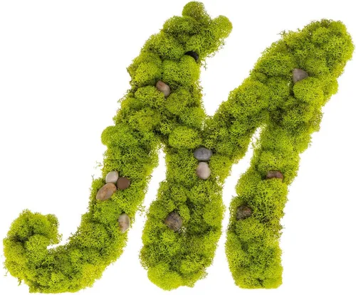 Vista 4 de Iniciales de monograma preservadas Moss Letter Art Design & Decor Arreglo de pared - Personalízalo
