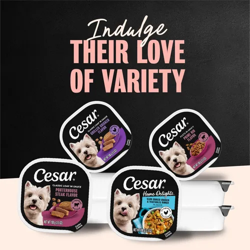 Vista 20 de Cesar Classic Loaf in Sauce - Alimento húmedo para perros adultos, sabor a tocino y huevo, comida húmeda para perros, bandejas fáciles de despegar