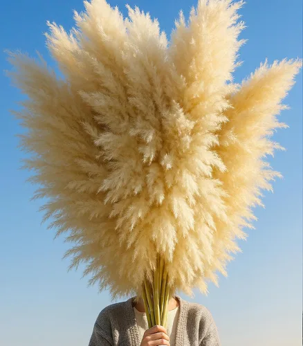 Vista 3 de 10 tallos de hierba de las pampas de 40 pulgadas de alto en color beige natural, añade un toque bohemio a tu espacio: hierba de las pampas ideal