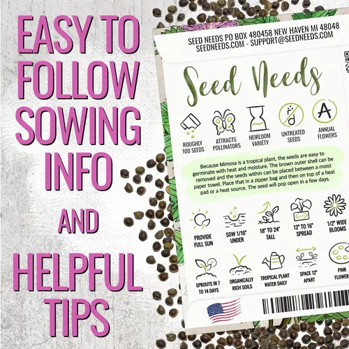 Vista 4 de Seed Needs Semillas de mimosa para plantar plantas sensibles Flores anuales 1 paquete