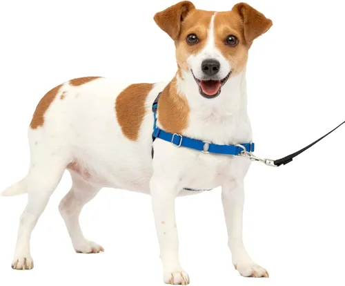 Vista 34 de PetSafe Easy Walk - Arnés para perro, sin tirones, gris carbón Carbón/Negro
