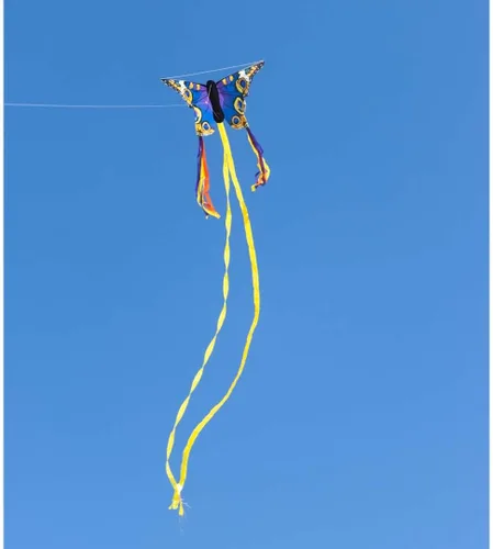 Vista 4 de HQ Kites R Butterfly Kite - Cometa de una sola línea de 20 pulgadas con cola