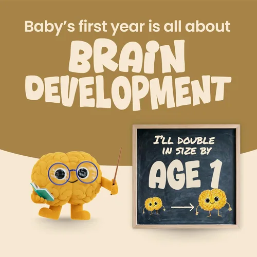 Vista 4 de Enfamil NeuroPro Baby Formula Brain Building Duo DHA y MFGM, 20.7 onzas