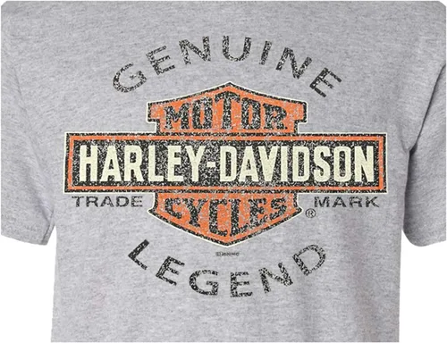 Vista 2 de Harley-Davidson Big Boys Genuine Legend - Camiseta de manga corta con cuello redondo, color gris