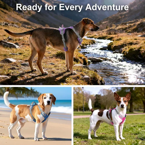 Vista 8 de Arnés para perro sin tirones – Arnés reflectante ajustable de nylon para perros pequeños, medianos y grandes, arnés de entrenamiento a prueba