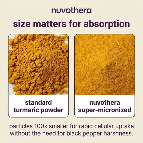 Vista 3 de Nuvothera Cápsulas de curcumina de cúrcuma supermicronizada de absorción rápida, raíz entera, sin OMG, piel, salud intestinal y antioxidantes