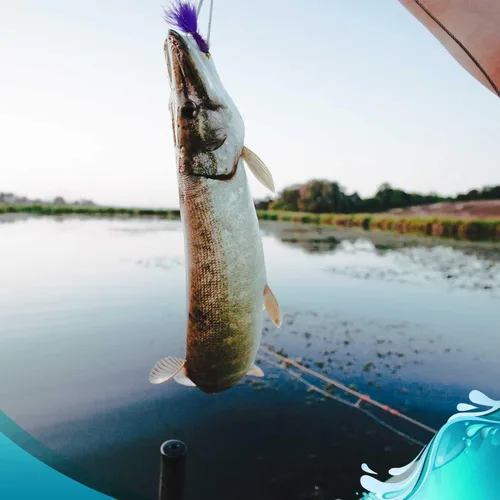 Vista 4 de Feeder Creek Woolly Bugger Moscas de pesca con mosca, 12 piezas, surtido de pesca con mosca Moscas húmedas hechas a mano para pesca con mosca