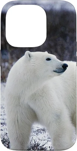 Vista 17 de Polar Bears Animal Nature Case for iPhone 17