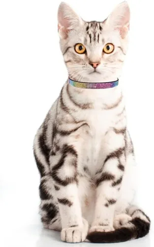 Vista 7 de THAIN Bling cat Collar de gatito Rainbow Rhinestone Breakaway Diamond con campana Terciopelo suave liberación rápida (negro)