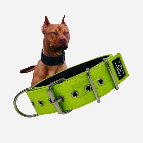 Vista 10 de SparkDog - Collar acolchado para perro, 2 pulgadas de ancho, nailon de 4 capas, correas para cinturón de seguridad, accesorios de acero inoxidable