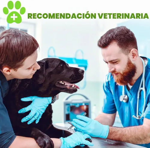 Vista 9 de Probióticos para perros, probióticos 3 en 1 para perros, probióticos para perros para apoyo digestivo, suplementos probióticos para perros
