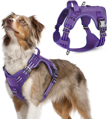 Vista 10 de rabbitgoo Arnés táctico para perros pequeños, chaleco de servicio militar sin tirones con asa y Molle, de fácil control para entrenar y caminar