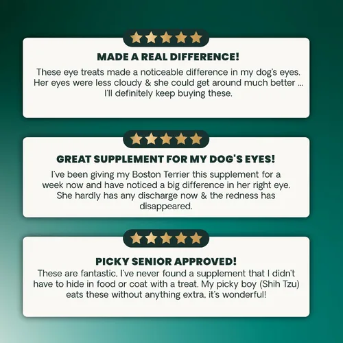 Vista 7 de VetriScience Eye & Vision - Masticables para la salud para perros, astaxantina y extracto de arándano, vitaminas y antioxidantes para los ojos