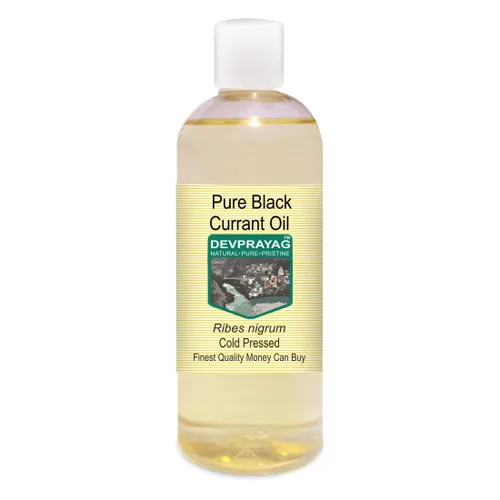 Vista 4 de Aceite de grosella negra puro (Ribes nigrum) prensado en frío 0.2 fl oz (0.16 oz)