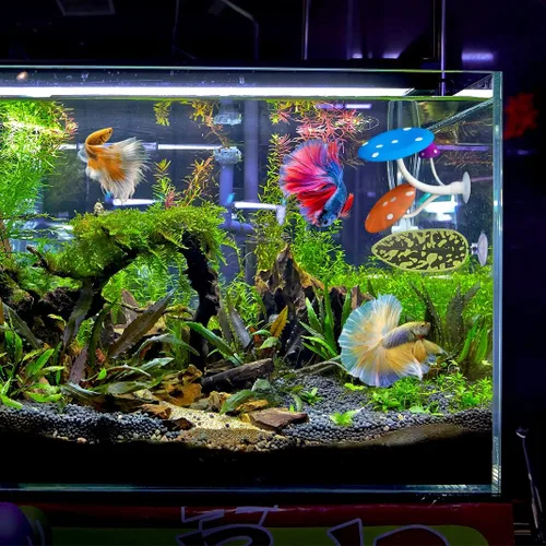 Vista 6 de Hamaca de hongos Betta + almohadillas de hojas para pecera, silicona suave, almohadillas de juego de peces de acuario con ventosa, adorno