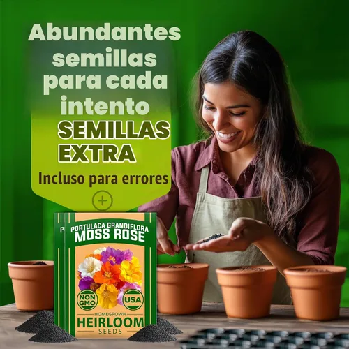Vista 5 de HOME GROWN Moss Rose Portulaca Seeds, 47000+ Semillas, Portulaca