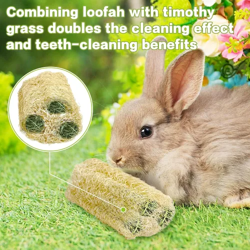 Vista 3 de BNOSDM Juguetes masticables de conejo, esponja natural, 6 piezas de dientes de conejo, juguete para moler conejo, golosinas ricas en fibra