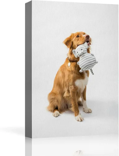 Vista 12 de NWT - Fotografía personalizada sobre lienzo con diseño de mascota y animal