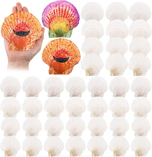 Vista 8 de GlikCeil - 50 piezas de concha marina para manualidades, conchas de vieira