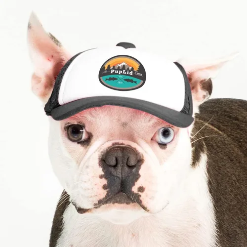 Vista 29 de Sunset Collection, sombreros de camionero de PupLid para perros (XXS) Protección solar elegante de alta calidad para el perro moderno, ajustable