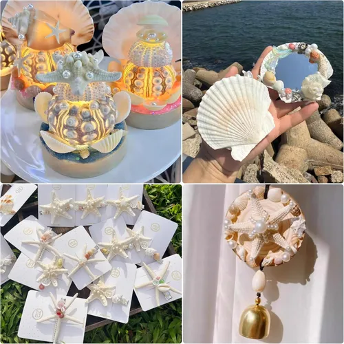 Vista 5 de JSPYFITS Estrellas de mar grandes de 2.5 a 4 pulgadas y conchas de vieira para manualidades, 12 unidades, conchas naturales de mar de playa