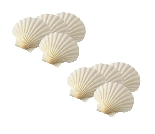 Vista 11 de Maine Man Conchas naturales para hornear, cosechadas de Irlanda y Escocia, para hornear, mariscos, aperitivos y postres, 4 pulgadas, juego de 4