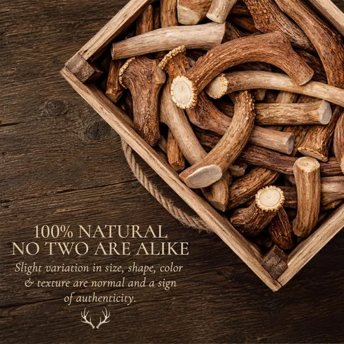 Vista 8 de WhiteTail Naturals Paquete de 2 cuernos de eje XL para perros XL-7-8
