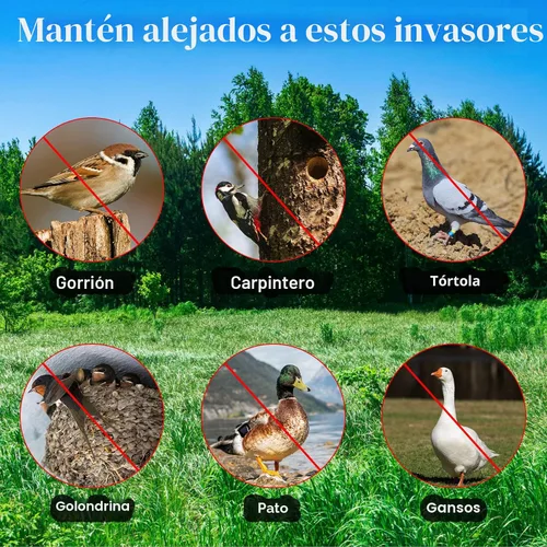 Vista 3 de Benasan [492 pies] Cinta eficaz para asustar a los pájaros, reflectores reflectantes para mantener a las palomas, halcones, pájaros carpinteros
