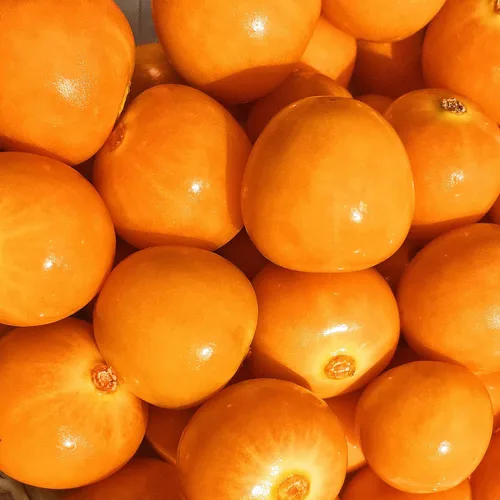 Vista 4 de Kejora Fresh Golden Berries/Cape Gooseberries 3 onzas (paquete de 3)