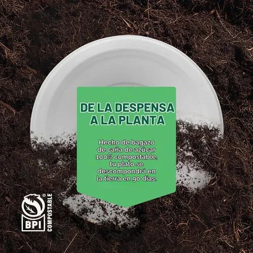 Vista 5 de Cuencos de papel 100% compostables de 12 oz. [1000 unidades] Cuencos para sopa resistentes de color blanco natural, cuencos de bagazo no blanqueados