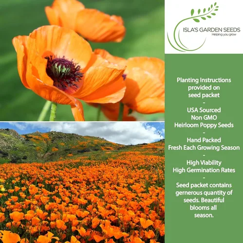 Vista 2 de Orange California Poppy, más de 1500 semillas de flores por paquete, semillas de jardín de Isla (semillas de jardín de Isla), semillas sin OMG