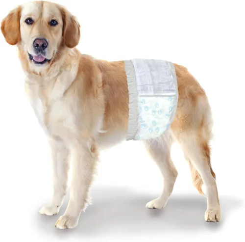 Vista 9 de Four Paws Wee-Wee - Envolturas desechables para perros machos, XS/S X-Small/Small Masculino Envolturas