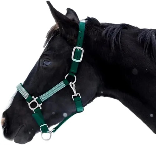 Vista 12 de Kensington Premium Cabestro Separable con Nariz Acolchada — Medidas de Seguridad Separables Añadidas — Hebilla en la Garganta para un Ajuste