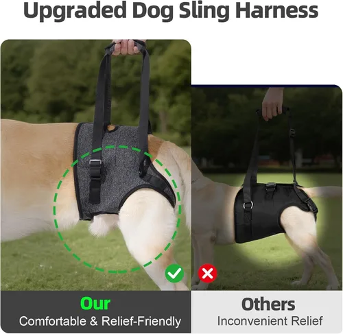 Vista 3 de Arnés acolchado suave ajustable para patas traseras para perros grandes, para patas traseras débiles, lesionadas o discapacitadas, ayuda a apoyar a