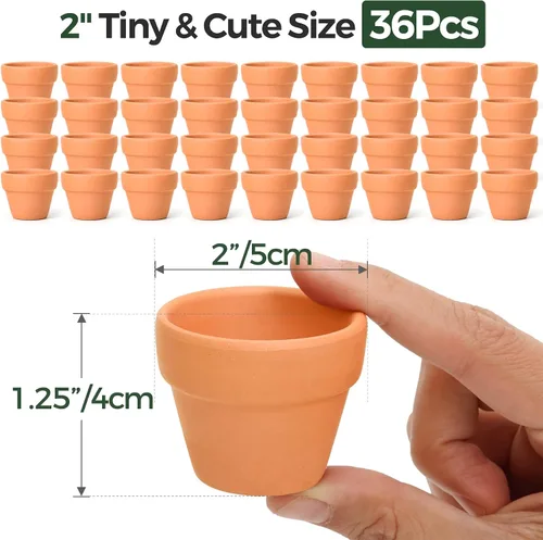 Vista 3 de T4U Mini macetas de terracota (36 piezas): macetas pequeñas de arcilla de 2 pulgadas con orificios de drenaje, ideales para plantas de cactus
