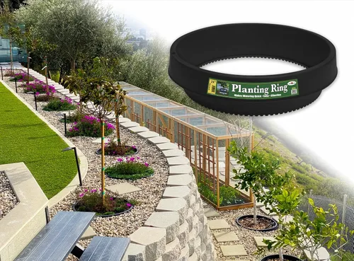 Vista 12 de Paquete de 3 16 anillos de plantación (anillo sólido) – Cuencas de riego para tomates, verduras y flores Bordes de jardín y retención de agua