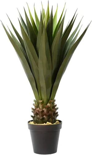 Vista 5 de Vickerman Everyday - Selección de aloe verde artificial para interiores de 6 pulgadas, selección única de suculentas coloridas de PVC duradero, sin